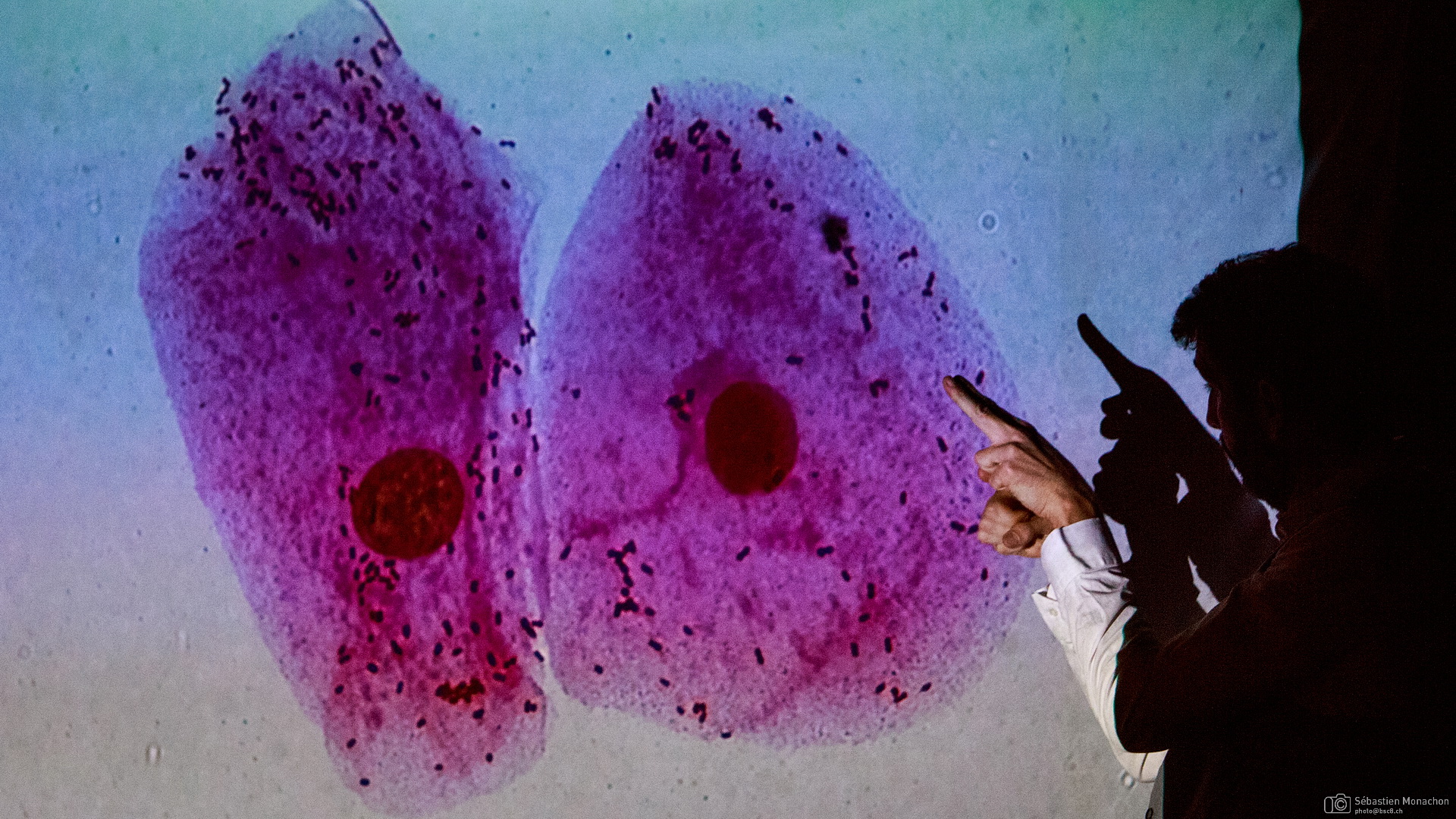 Les Contes Spontanés Science — photo 3